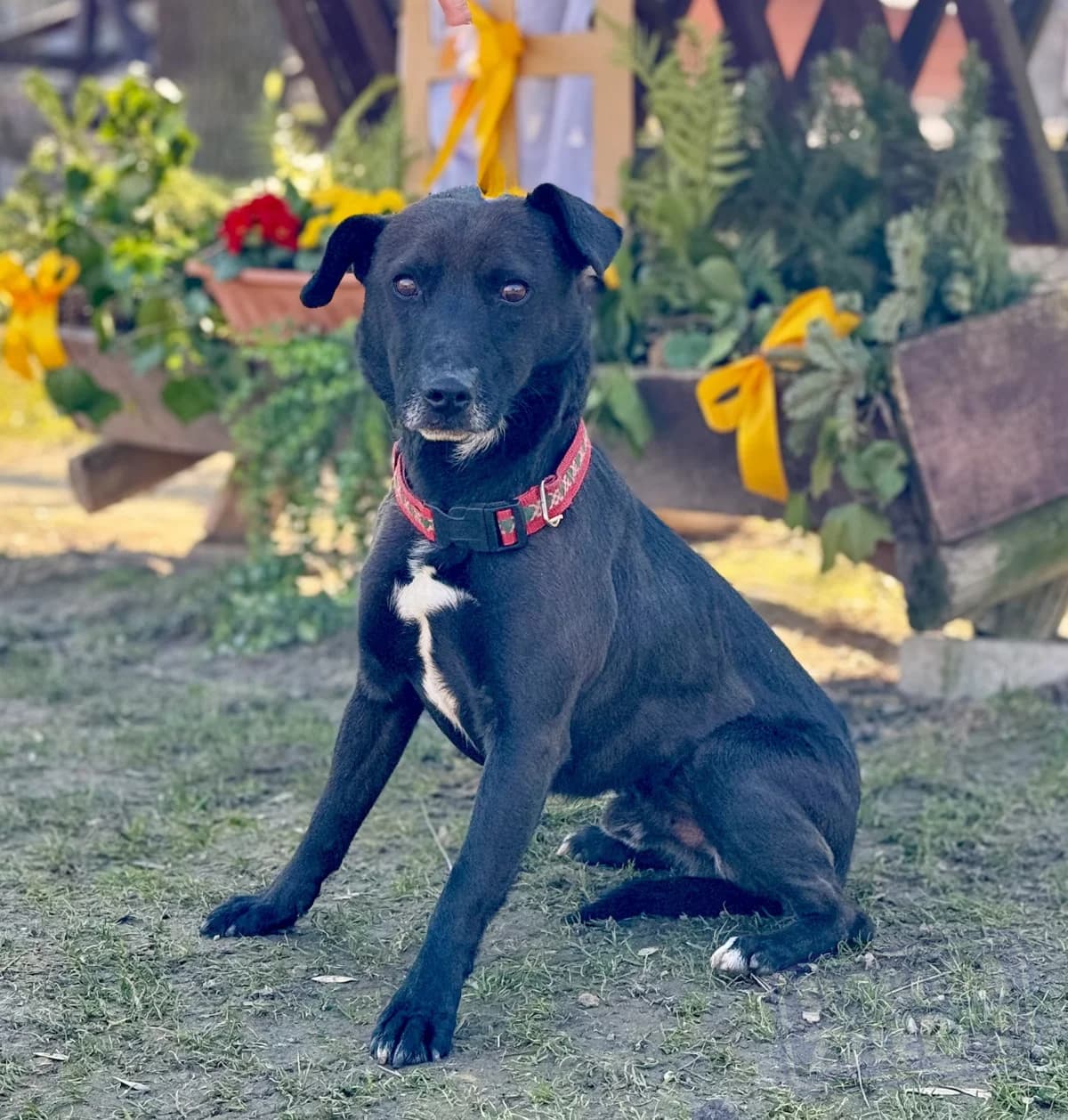 Nanuk Defense photo 7