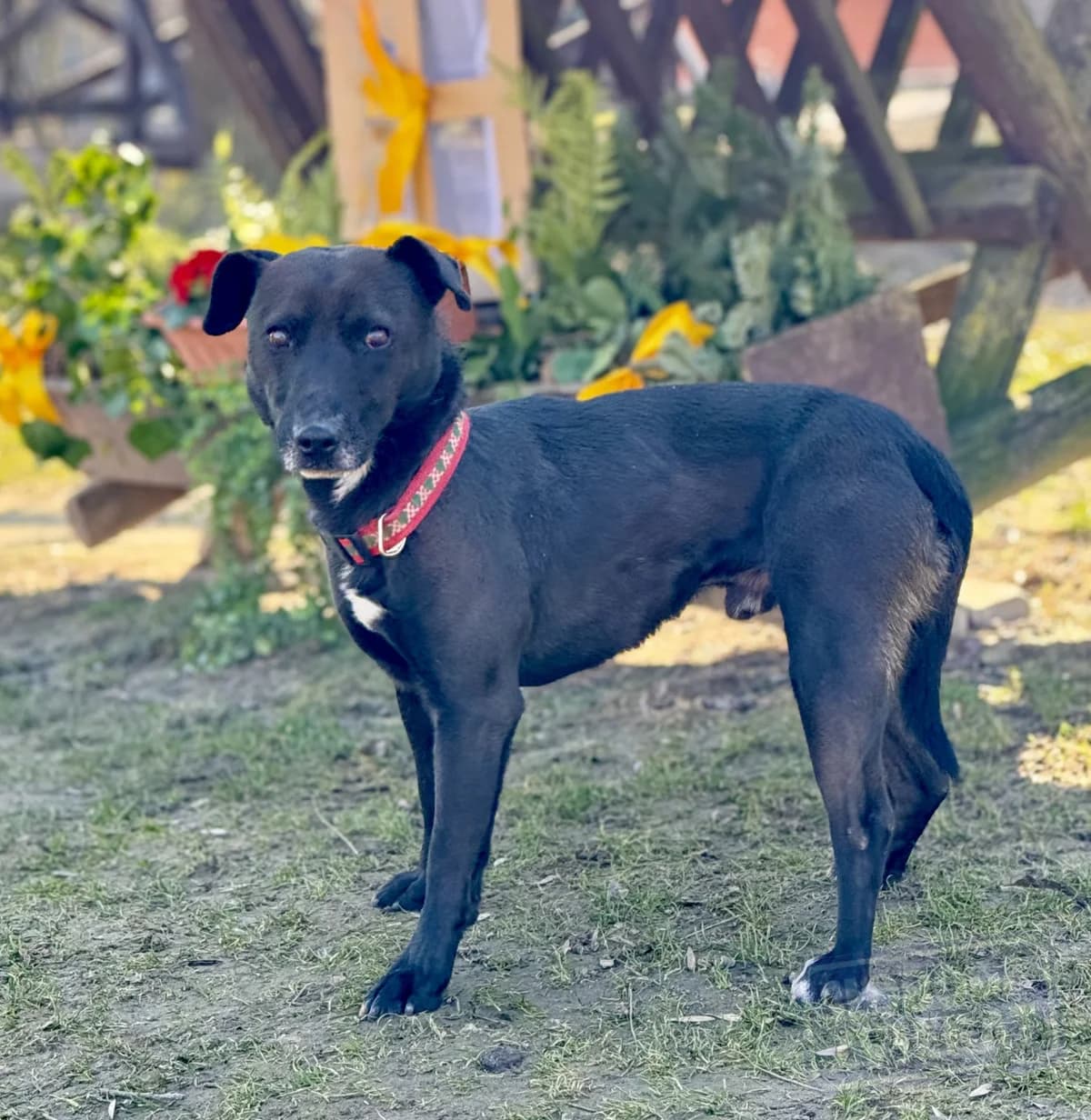 Nanuk Defense photo 8