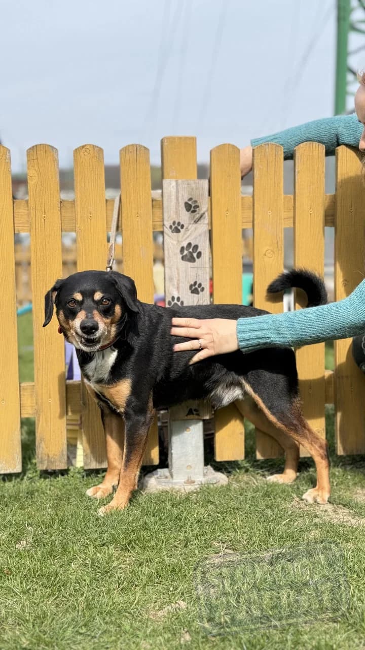 Theo od majiteľa photo 2