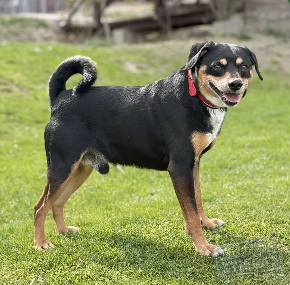 Theo od majiteľa photo 3