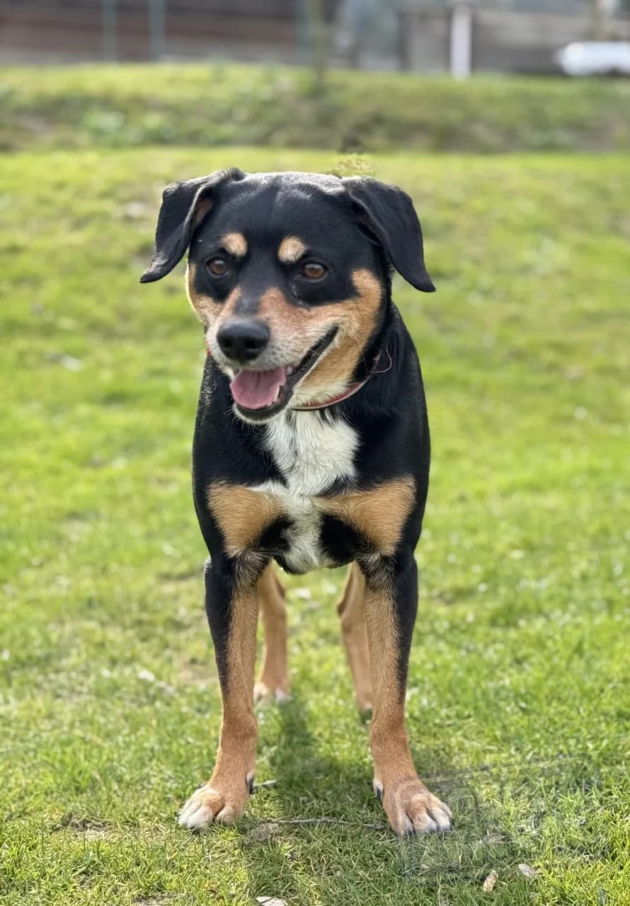 Theo od majiteľa photo 4