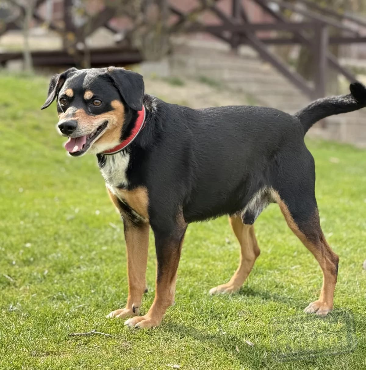 Theo od majiteľa photo 6