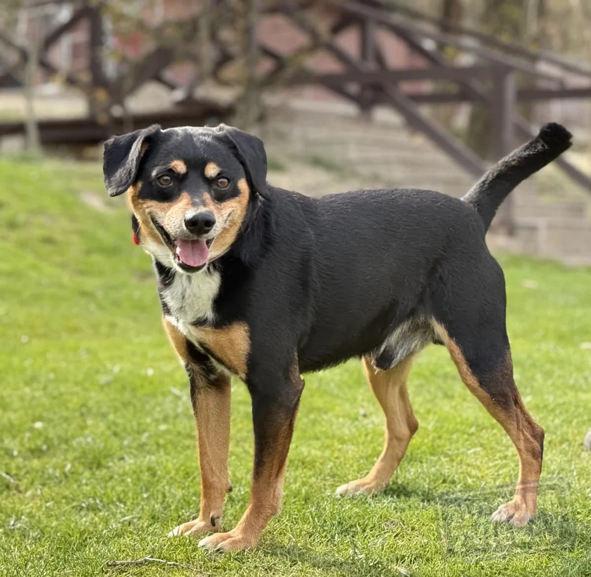 Theo od majiteľa photo 8