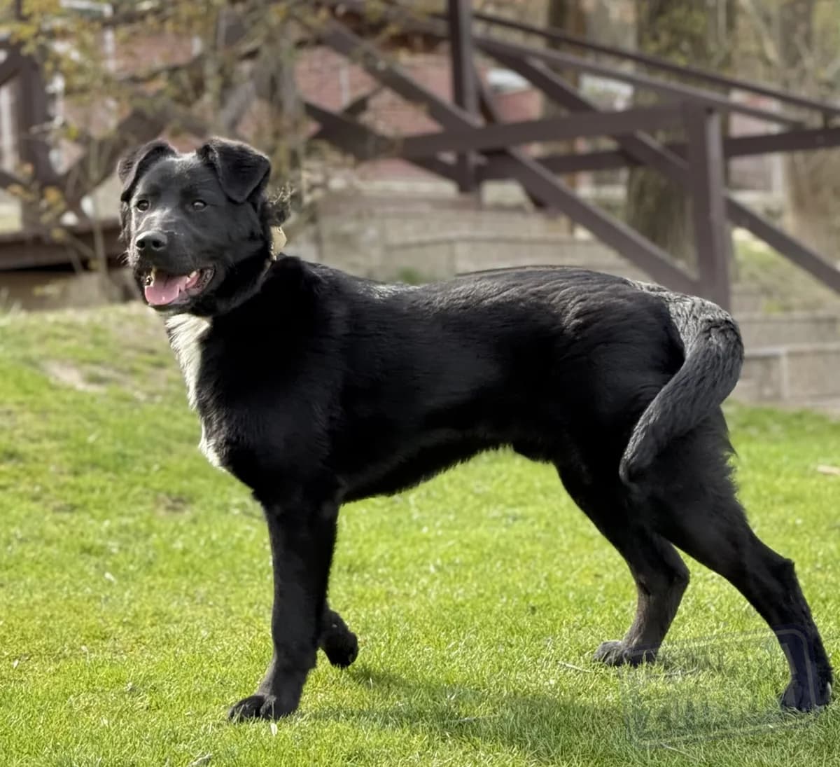 Persen Defense photo 2