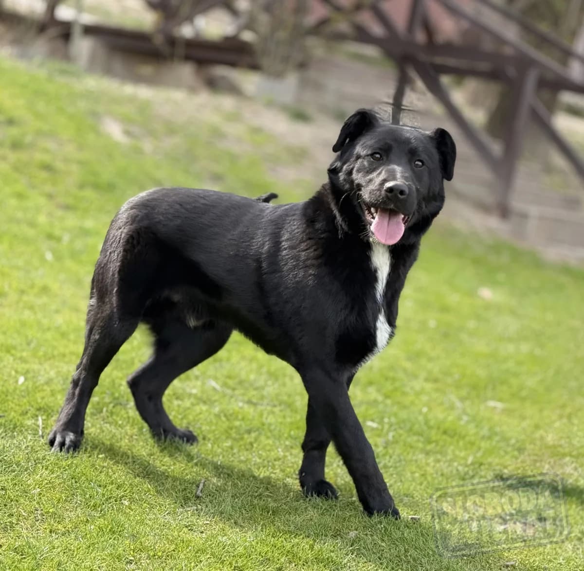 Persen Defense photo 3