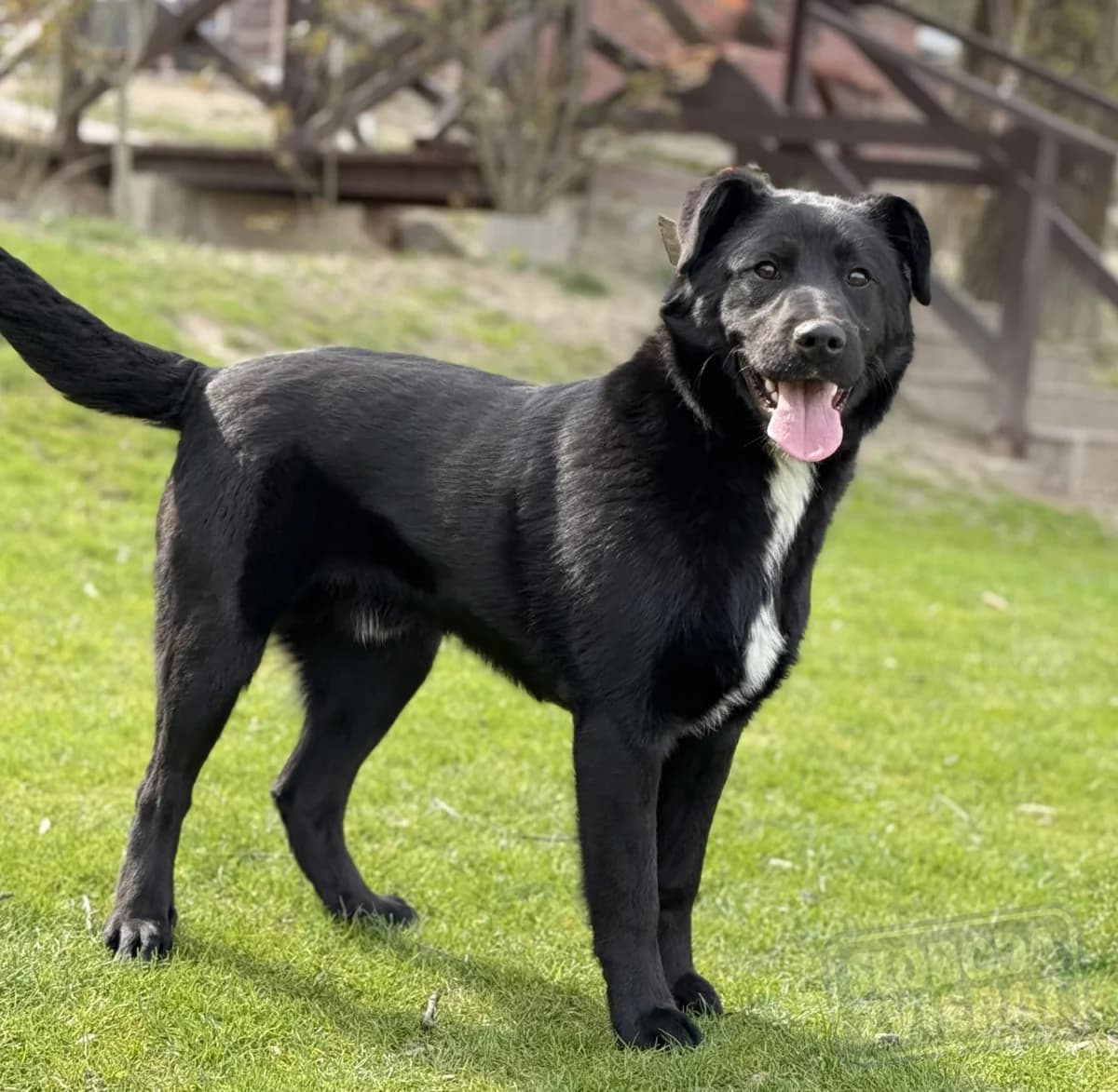 Persen Defense photo 4