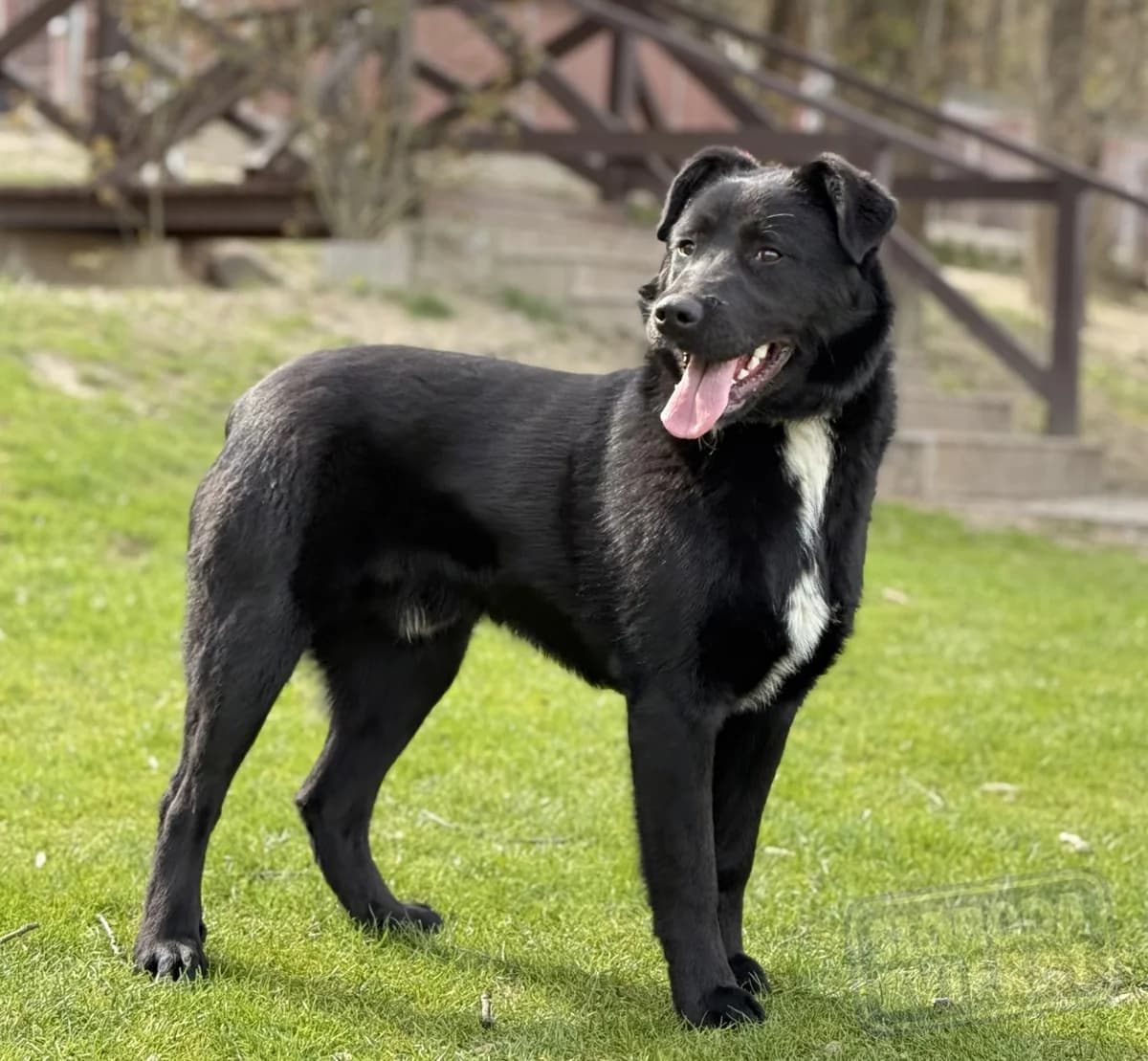 Persen Defense photo 5