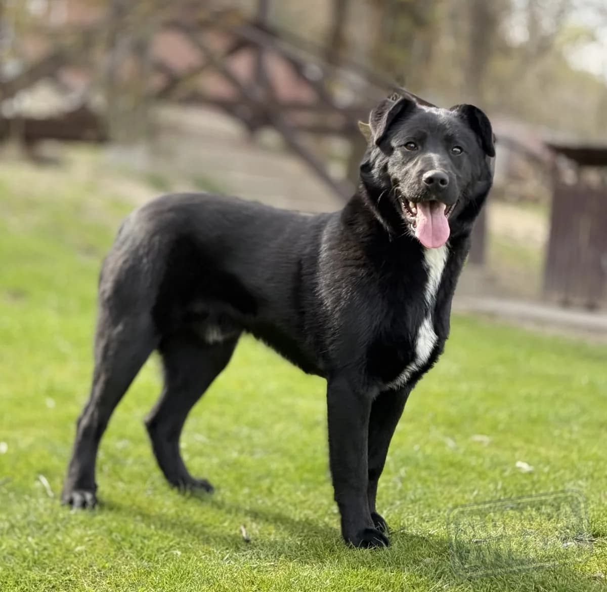 Persen Defense photo 6