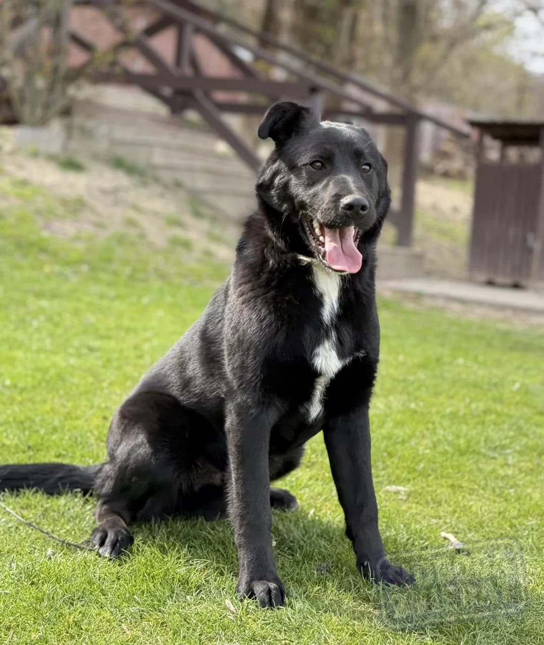 Persen Defense photo 7