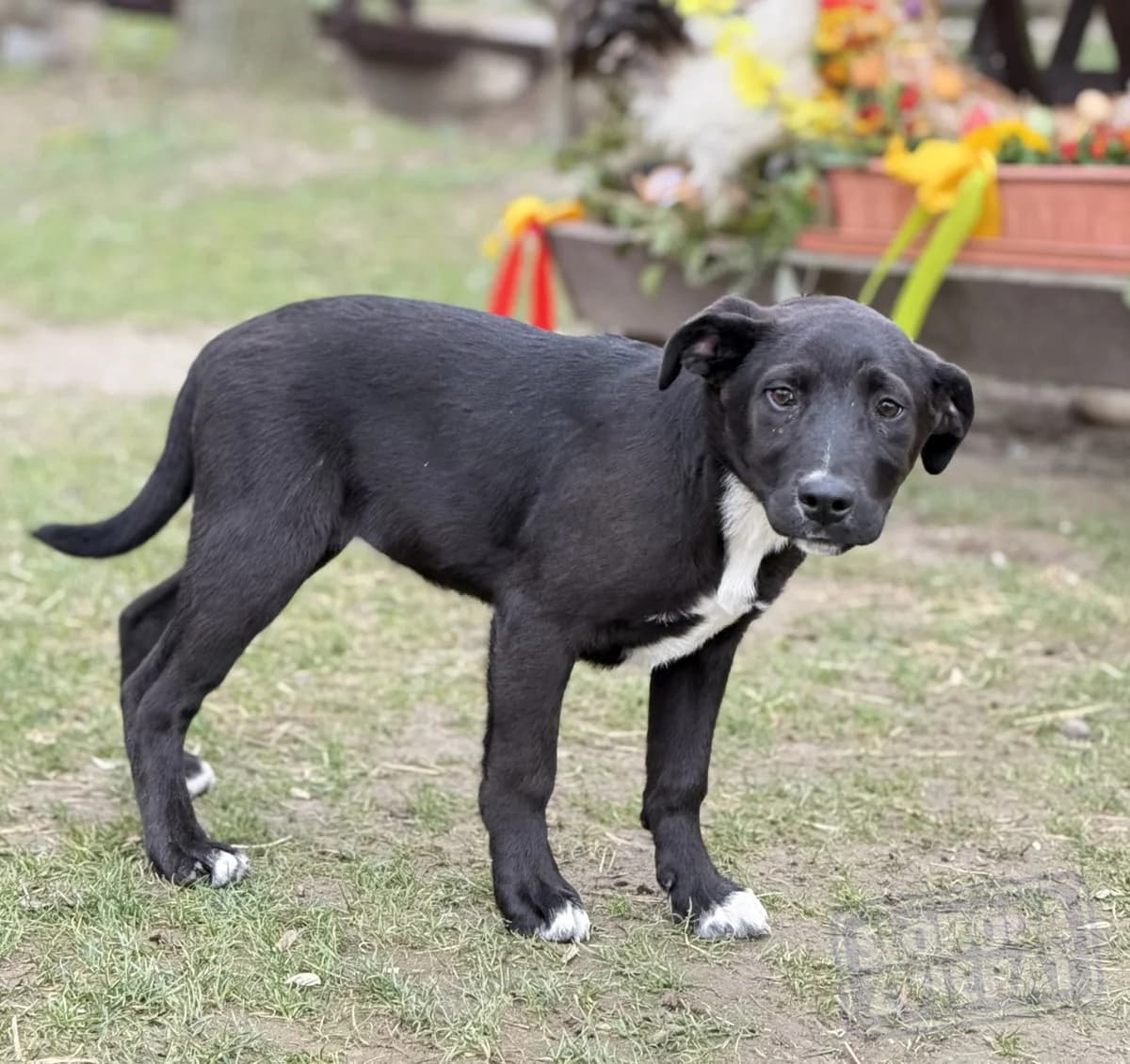 Nixy Malá farma photo 2