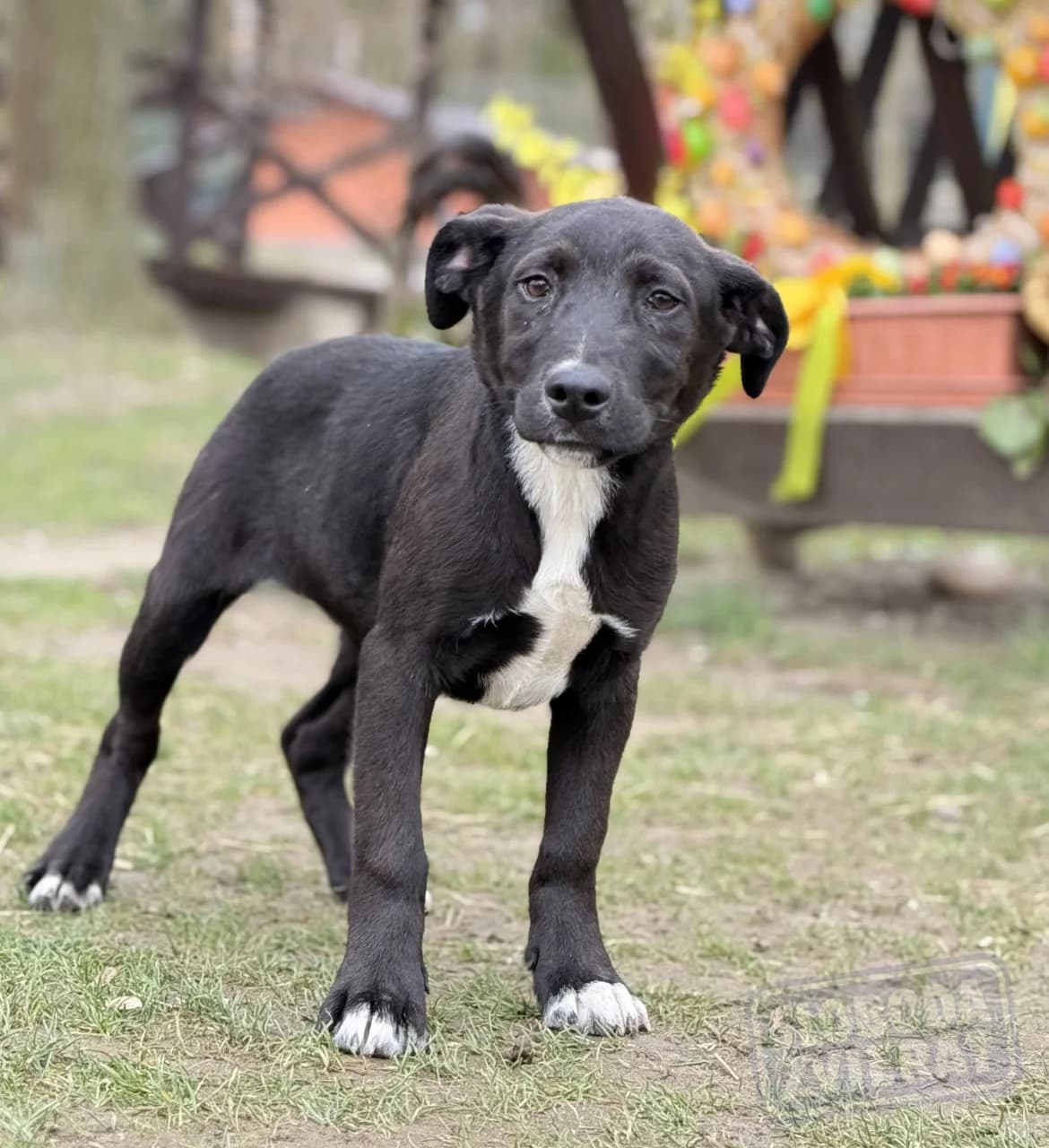 Nixy Malá farma photo 4