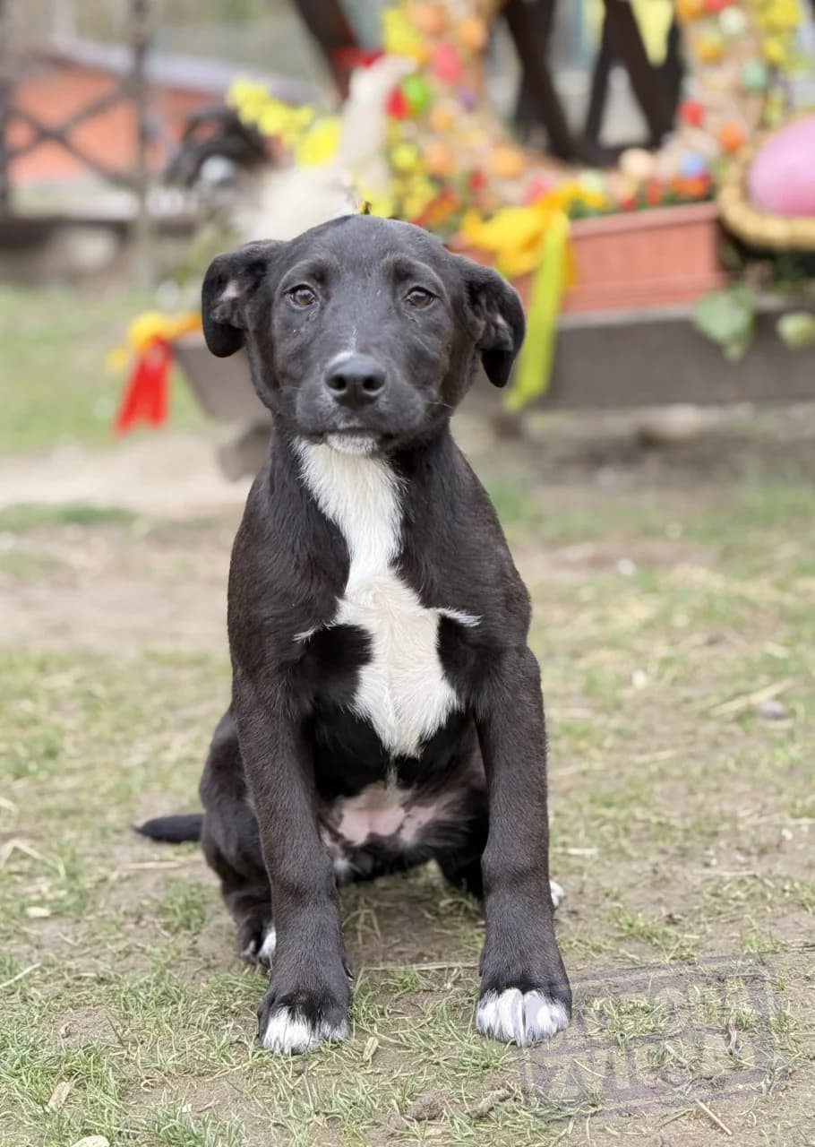 Nixy Malá farma photo 5