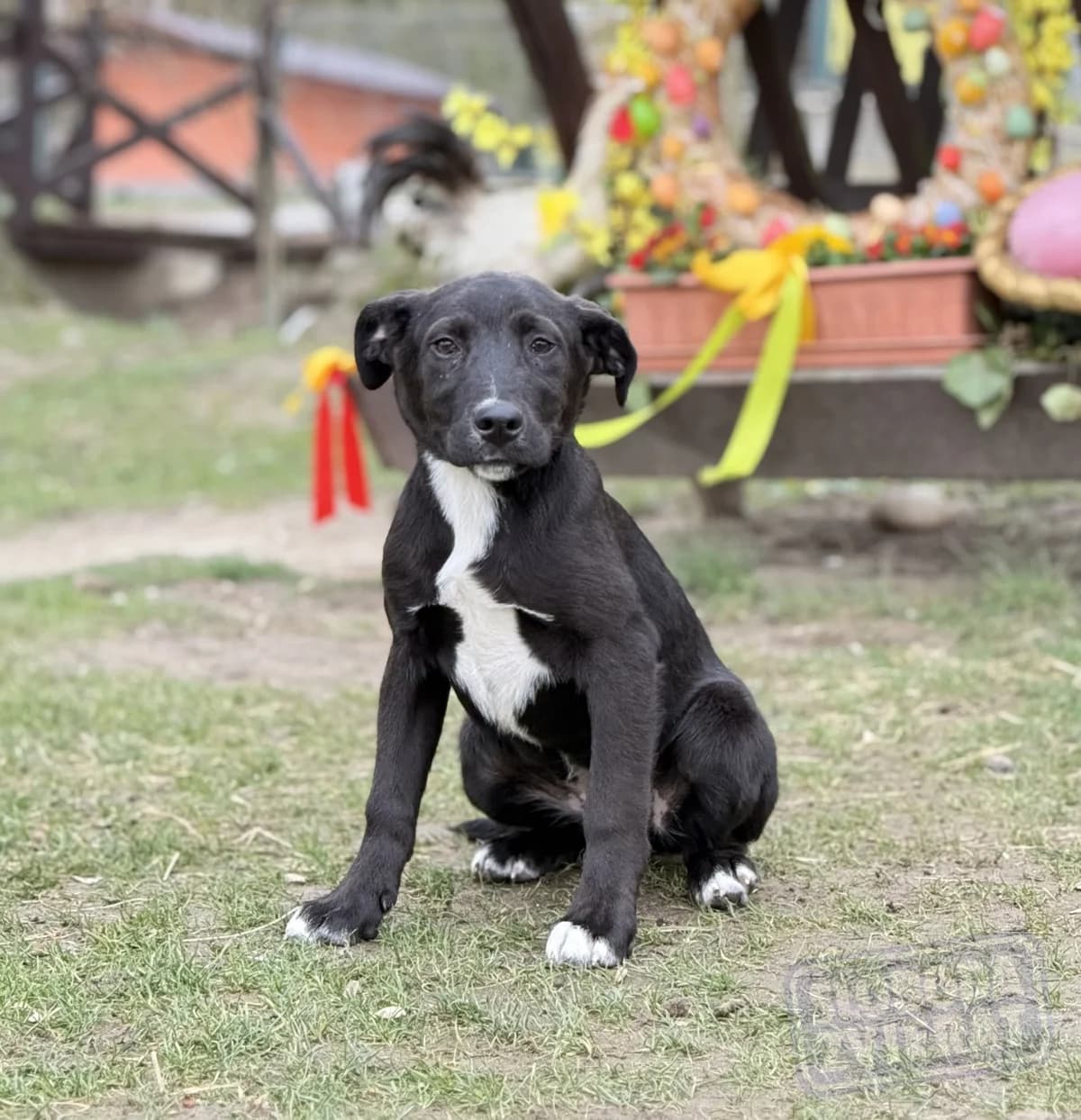 Nixy Malá farma photo 8