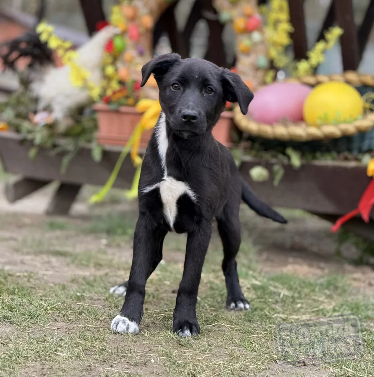 Nelly Malá farma photo 3