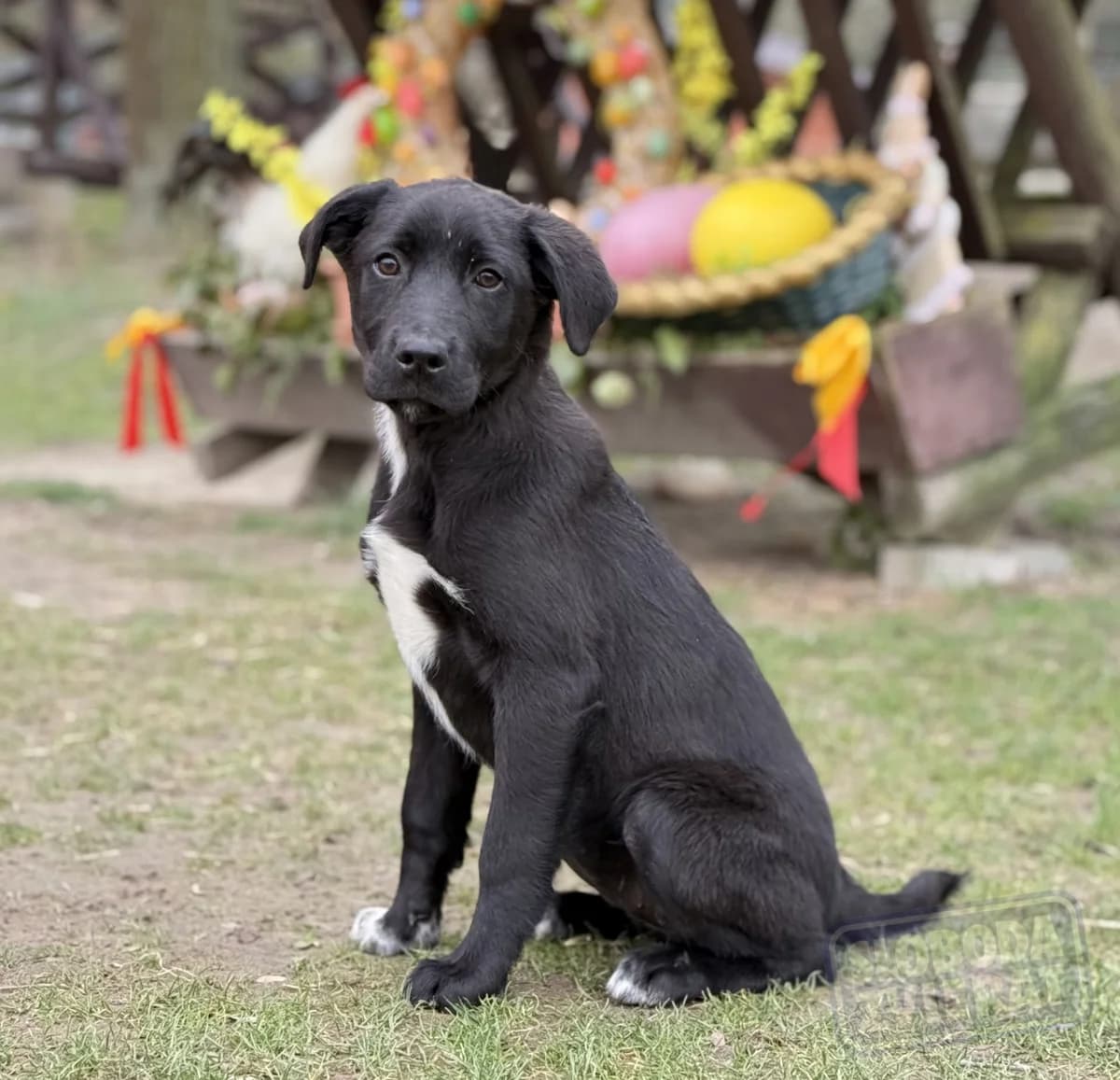 Nelly Malá farma photo 4