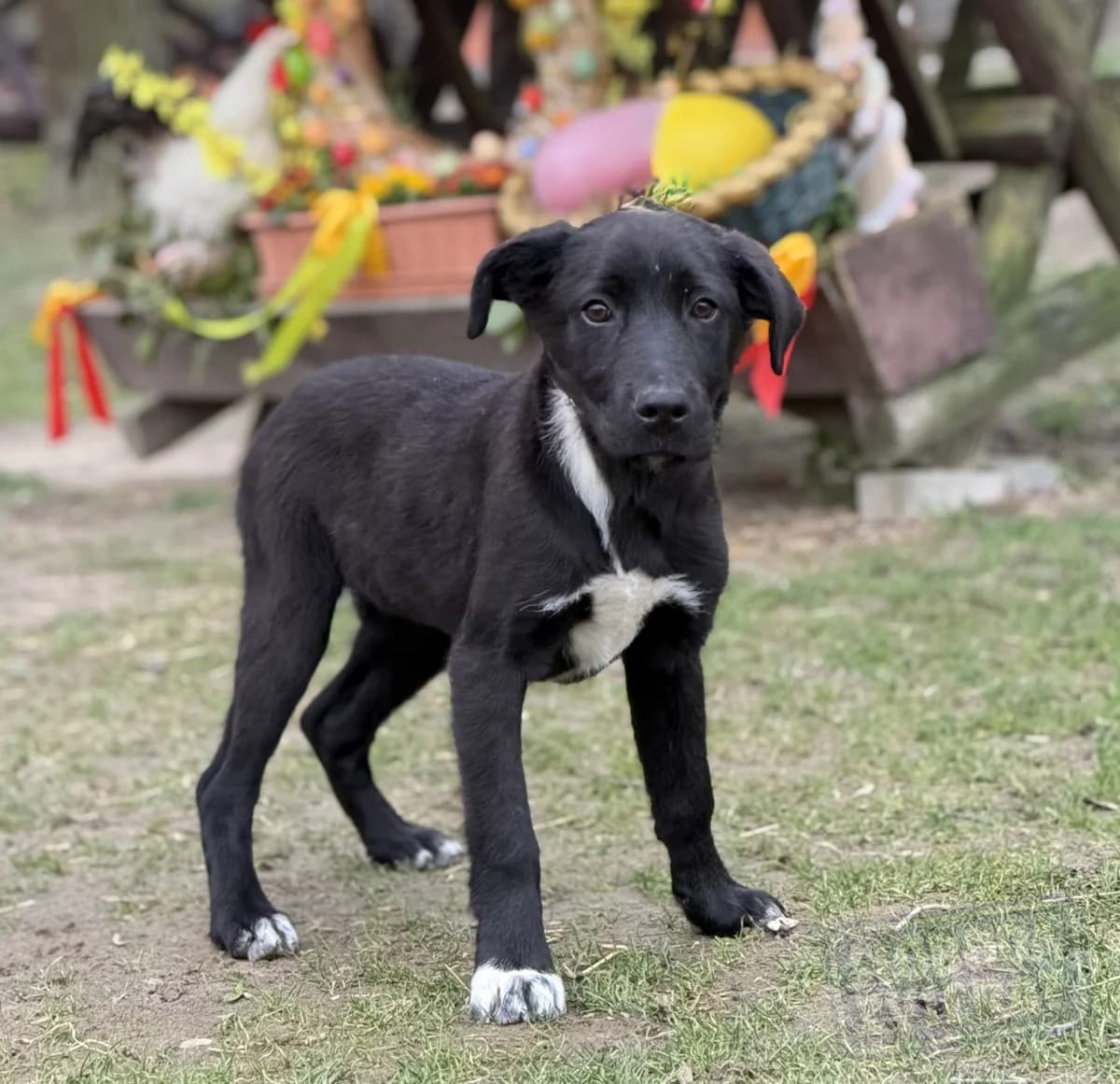 Nelly Malá farma photo 5