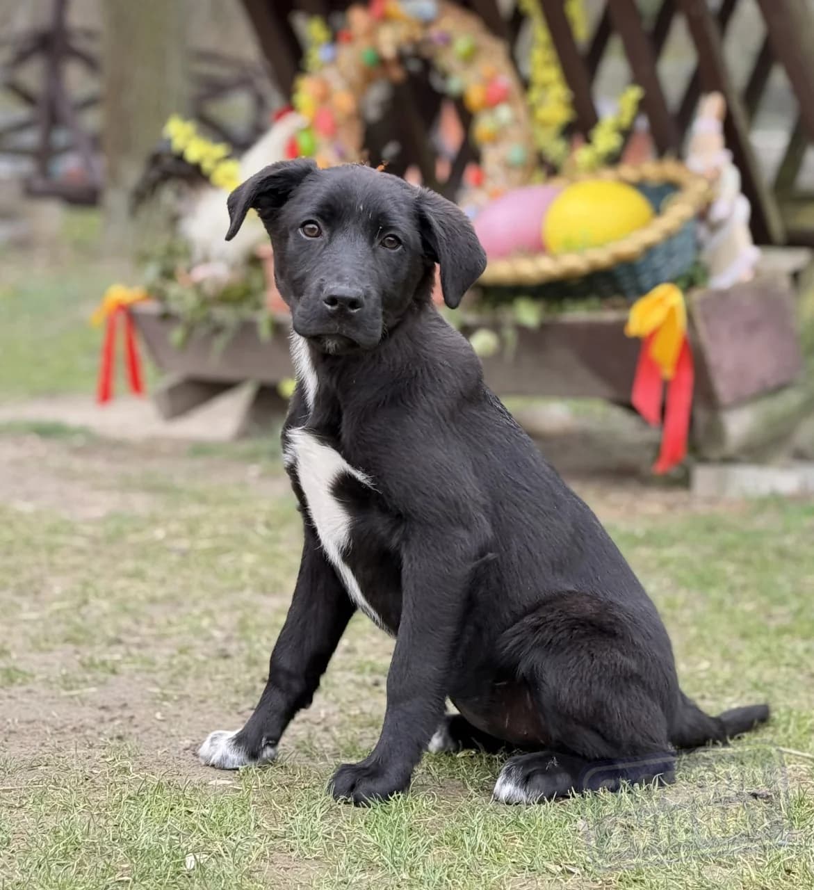 Nelly Malá farma photo 6