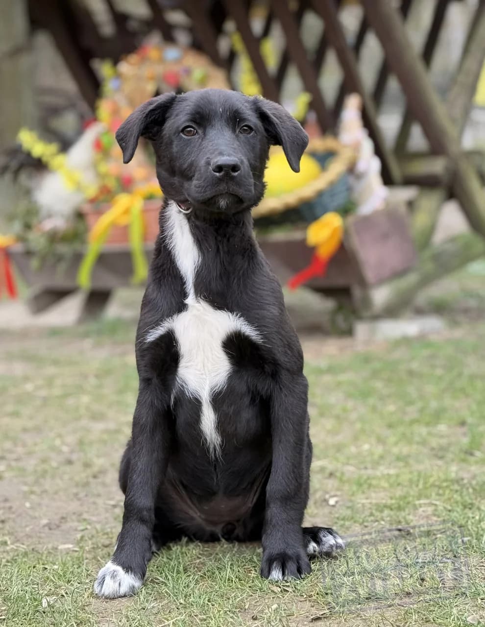 Nelly Malá farma photo 7