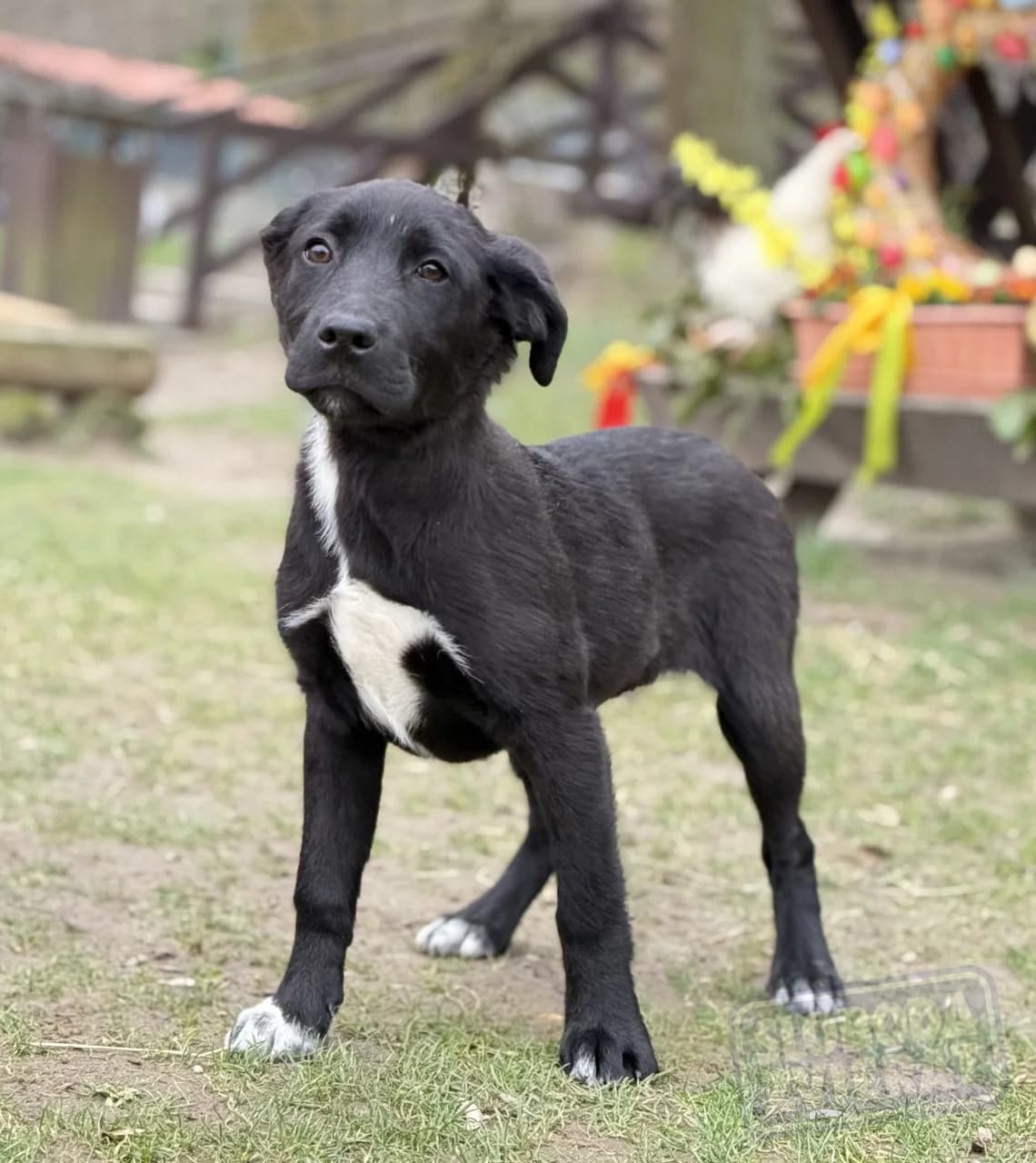 Nelly Malá farma photo 8