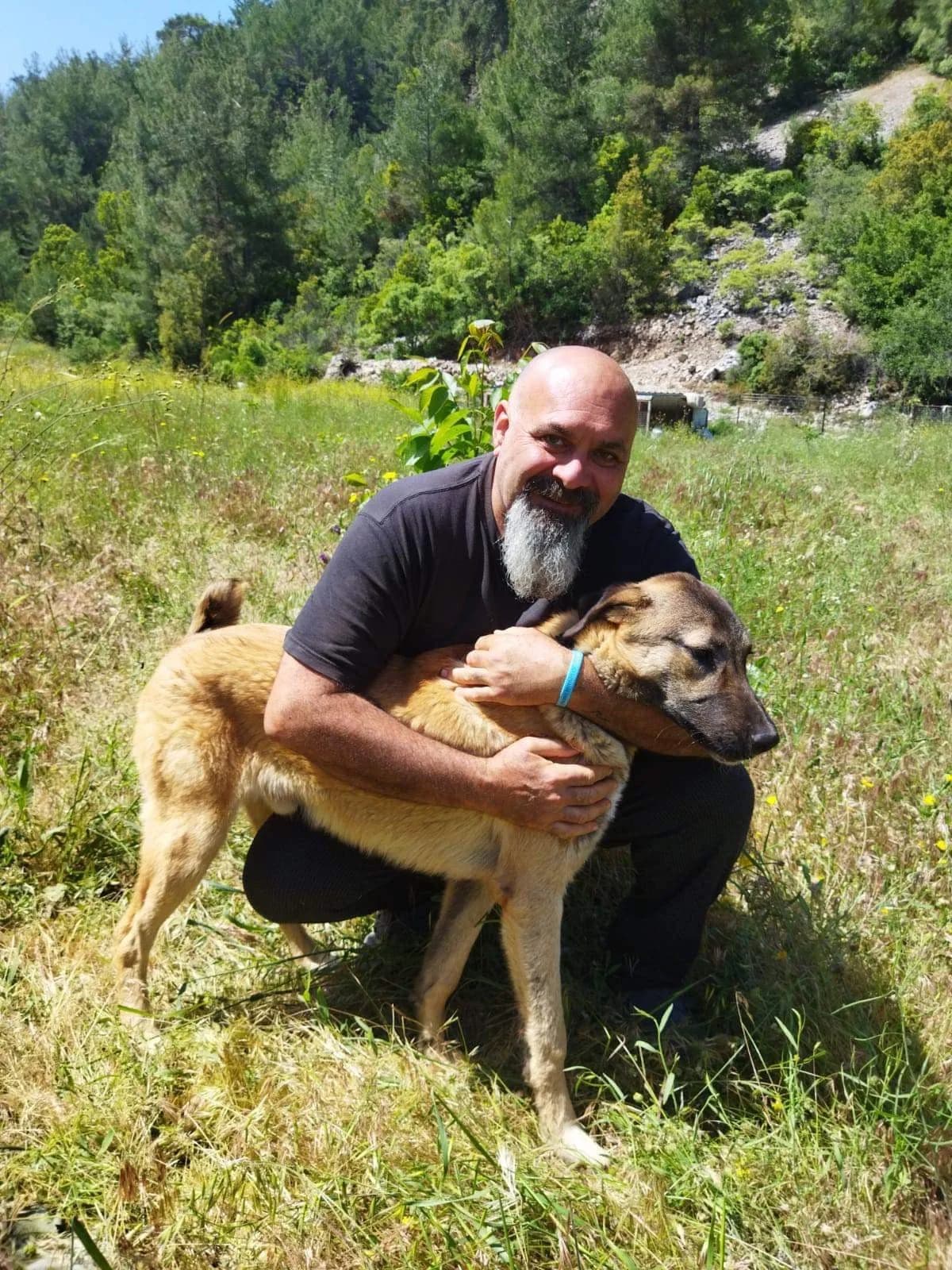 FERGUS, male puppy Mixed Breed for adoption at AFOT - Animal Friends of Turkey, Fethiye / Muğla
