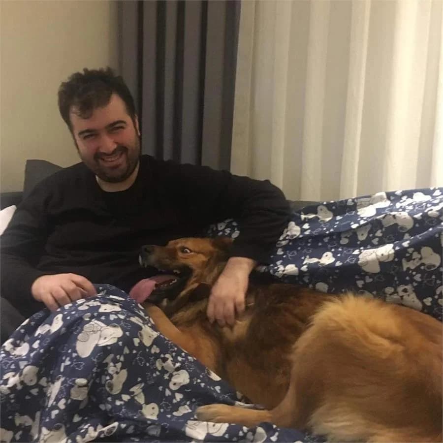 Cakil Oğlumuz Omurluk Yuvasında,  Mixed Breed for adoption at Yedikule Hayvan Barinagi, Istanbul