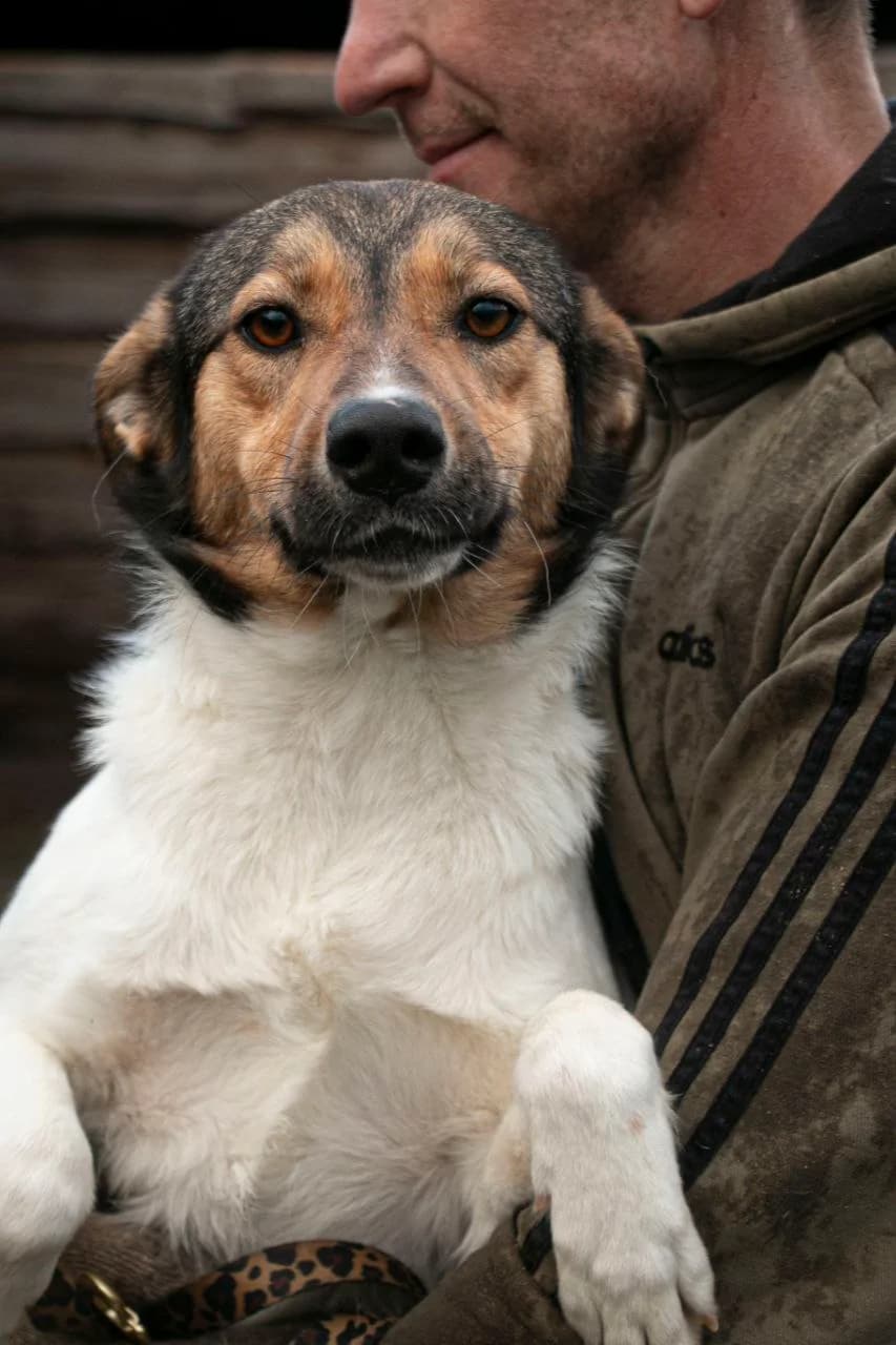Rast (Раст),  (Sirius Shelter)