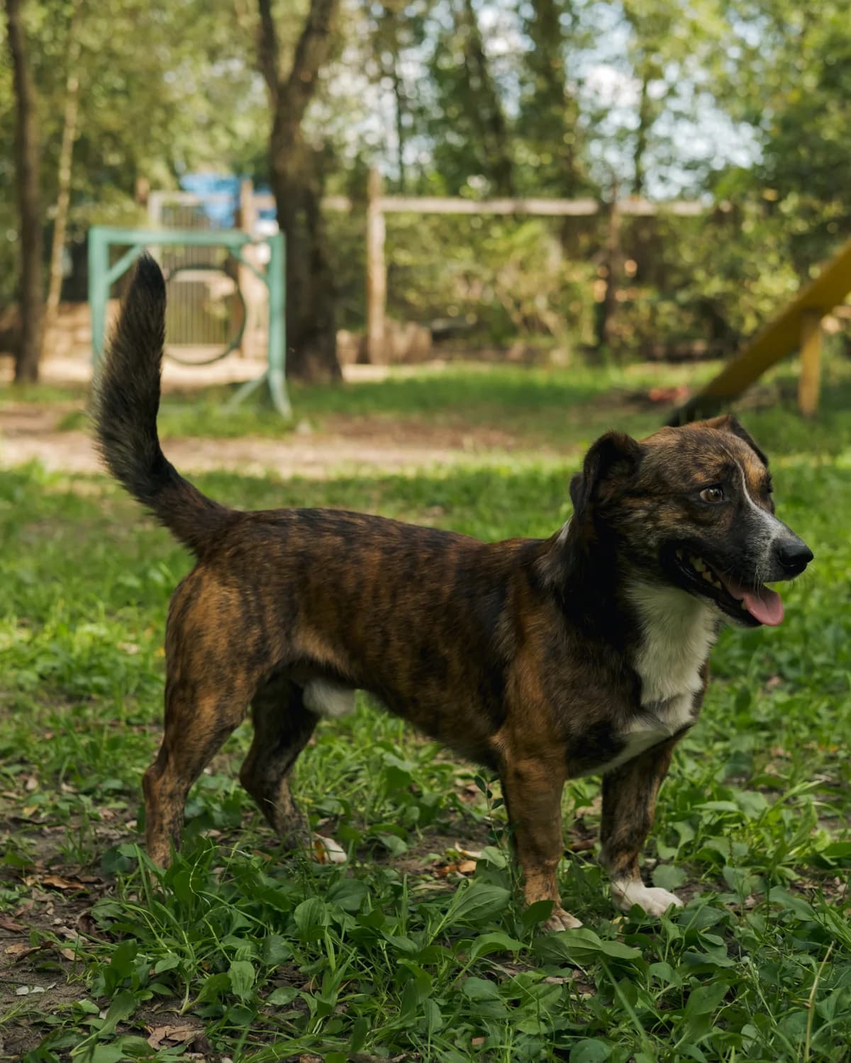 Дон Педро photo 2