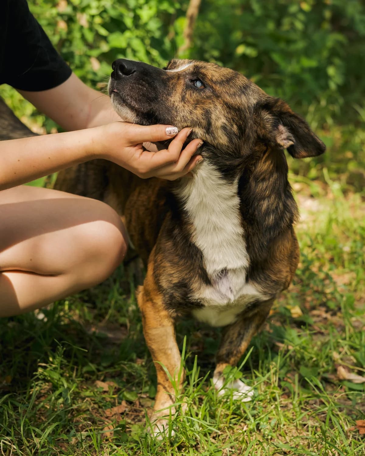 Дон Педро photo 3