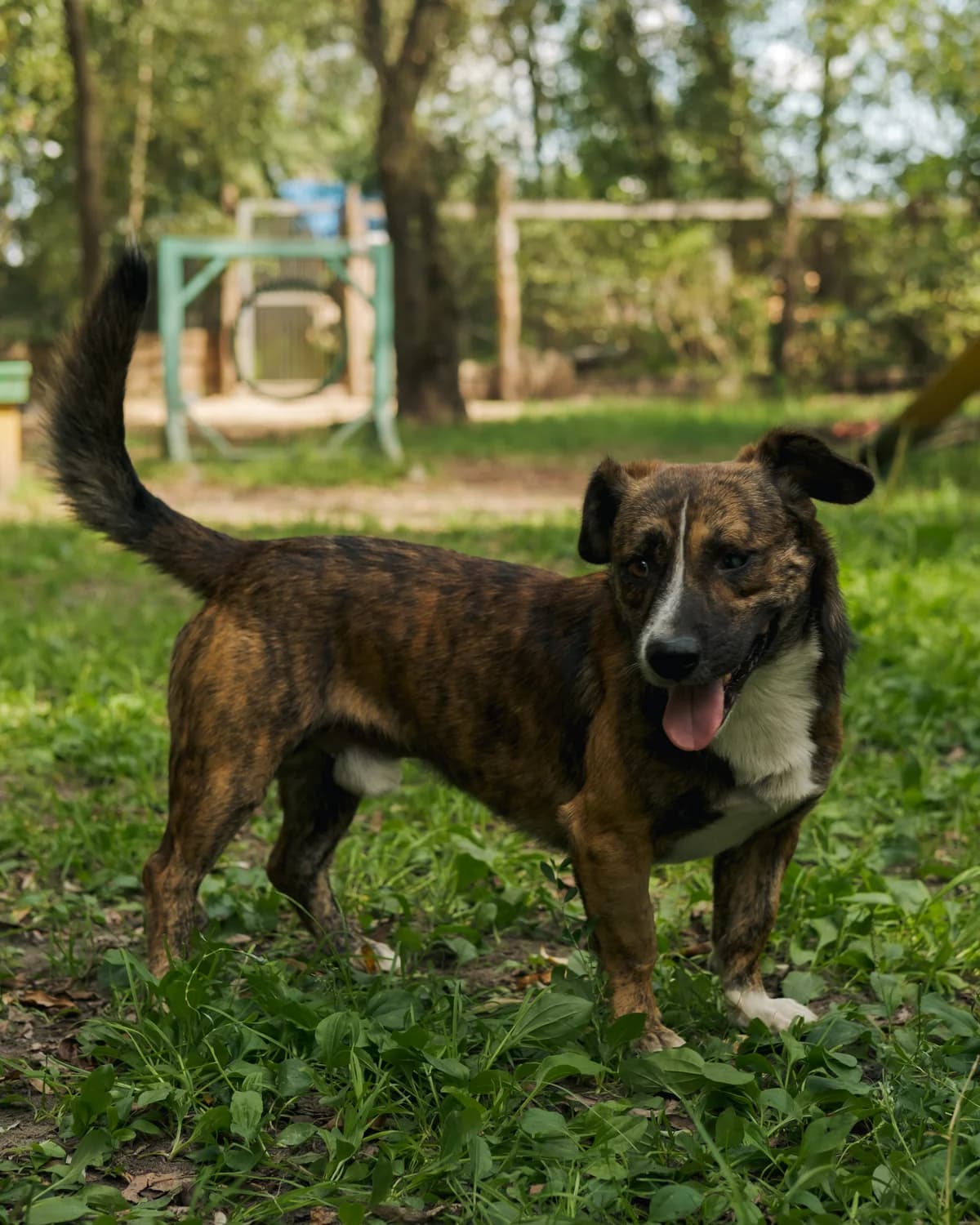 Дон Педро photo 4