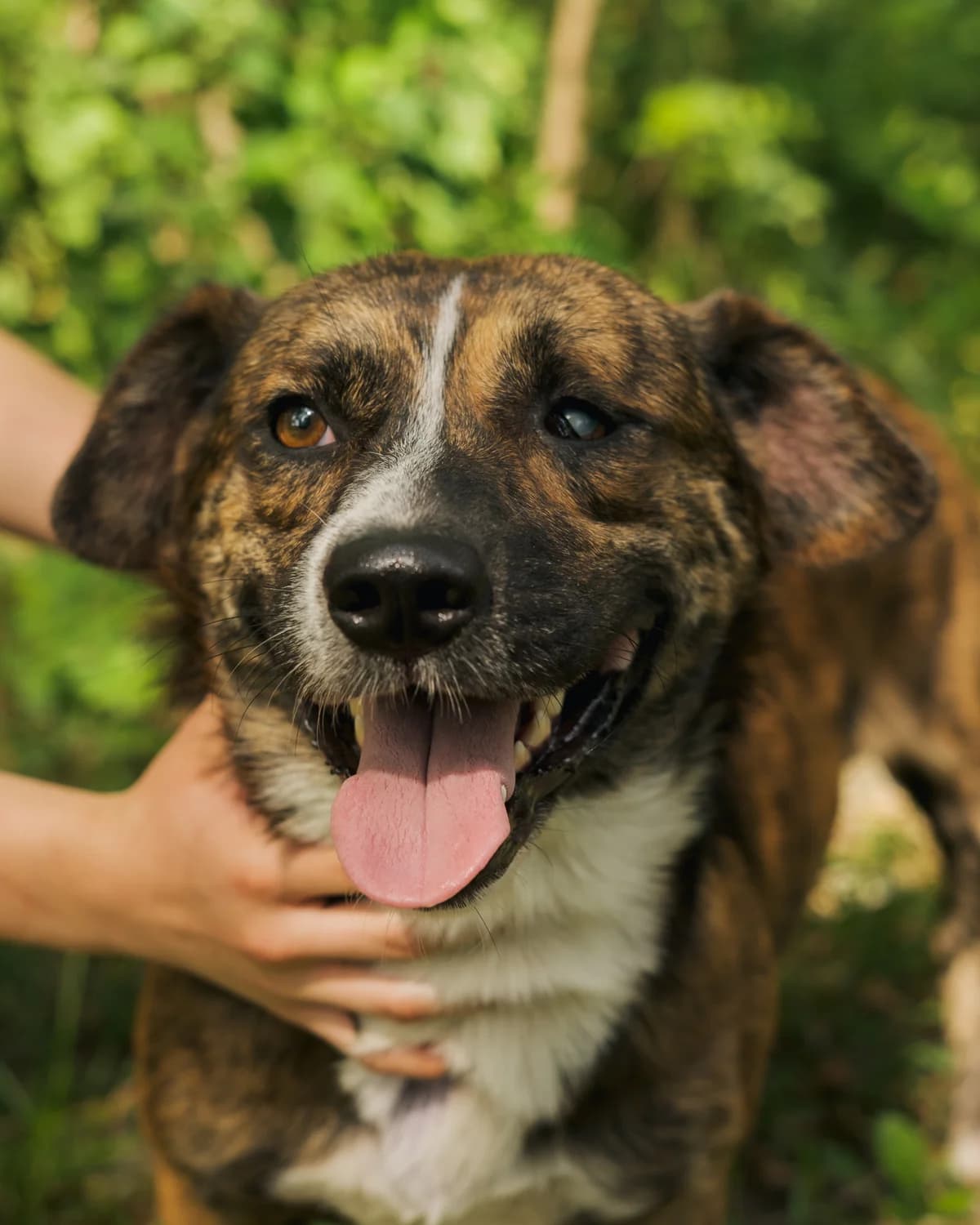 Дон Педро photo 5