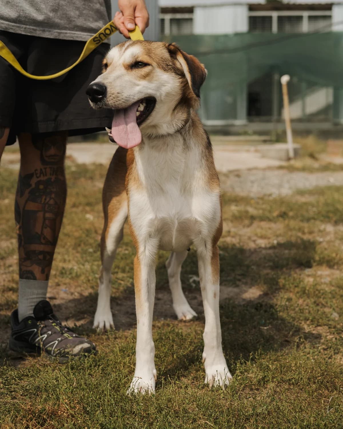 Анніка photo 2