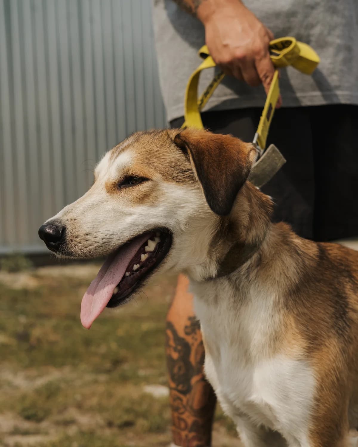 Анніка photo 3