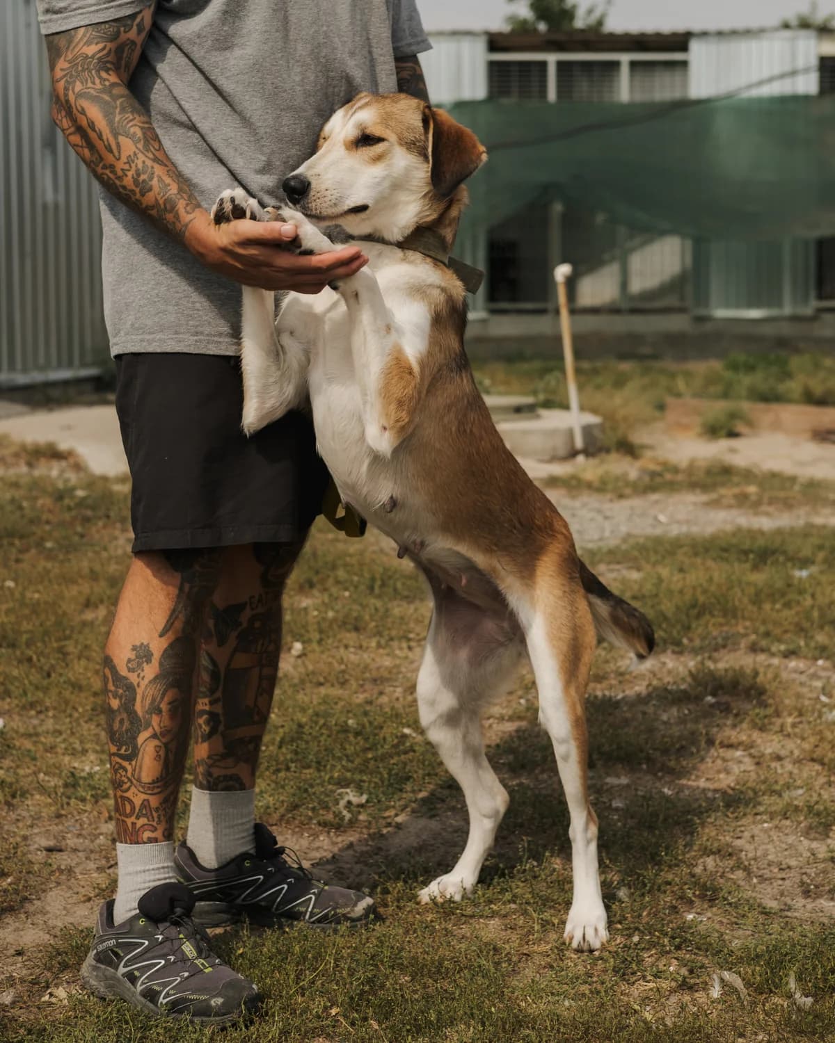 Анніка photo 4