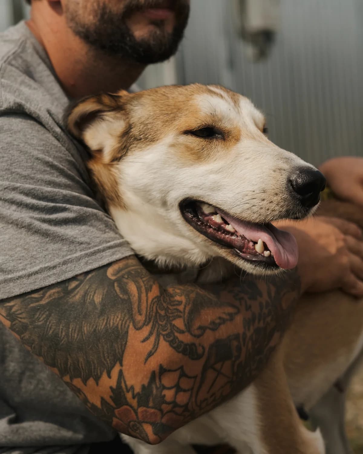 Анніка photo 5