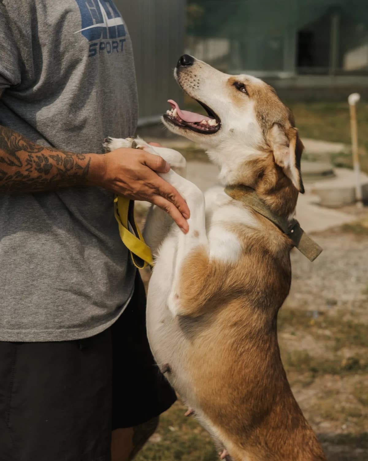 Анніка photo 6