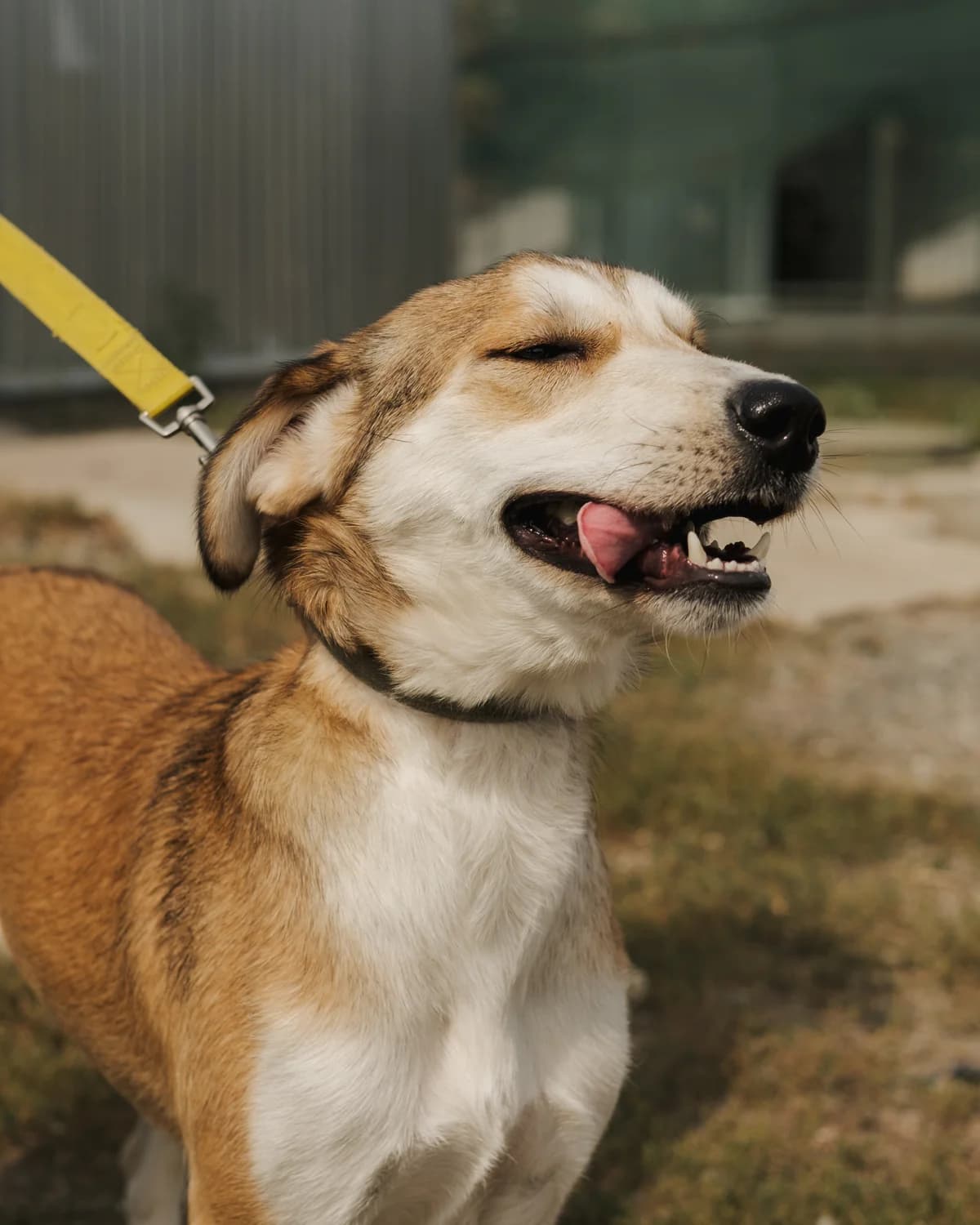 Анніка photo 7