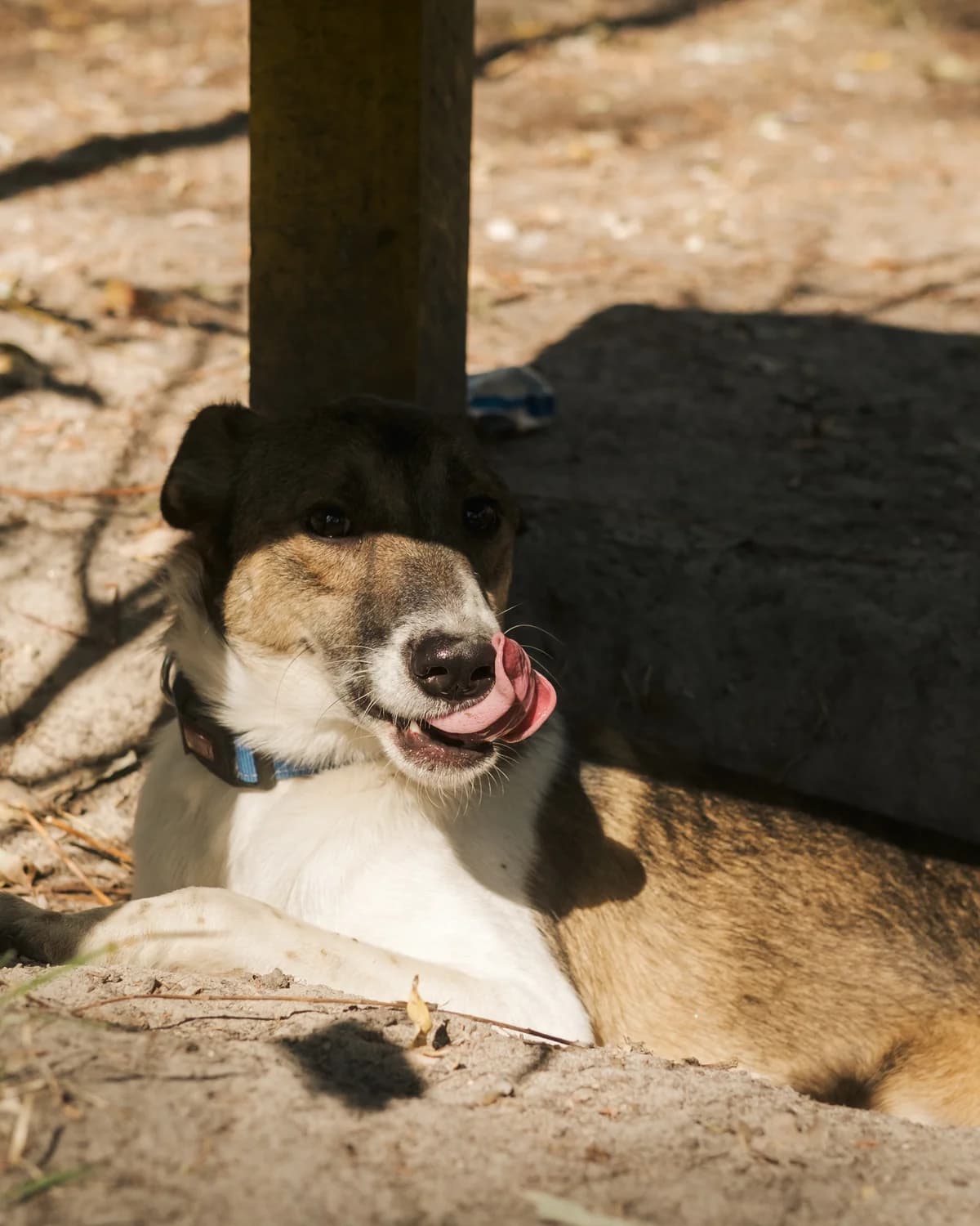 Жмихля photo 2