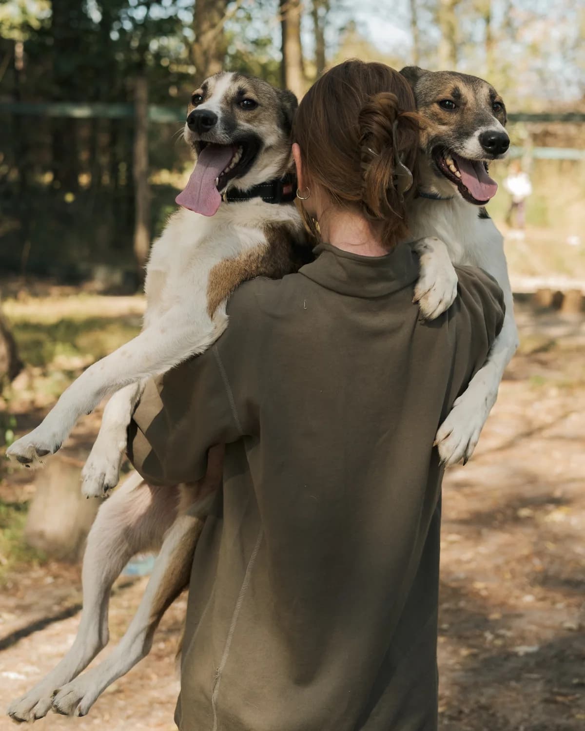 Жмихля photo 3