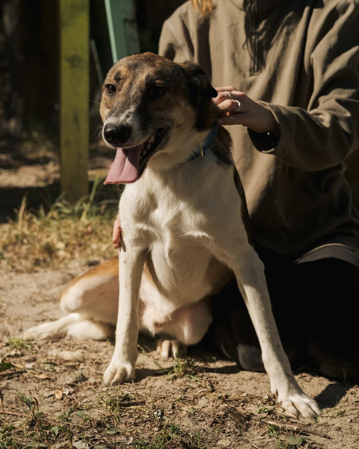 Жмихля photo 4