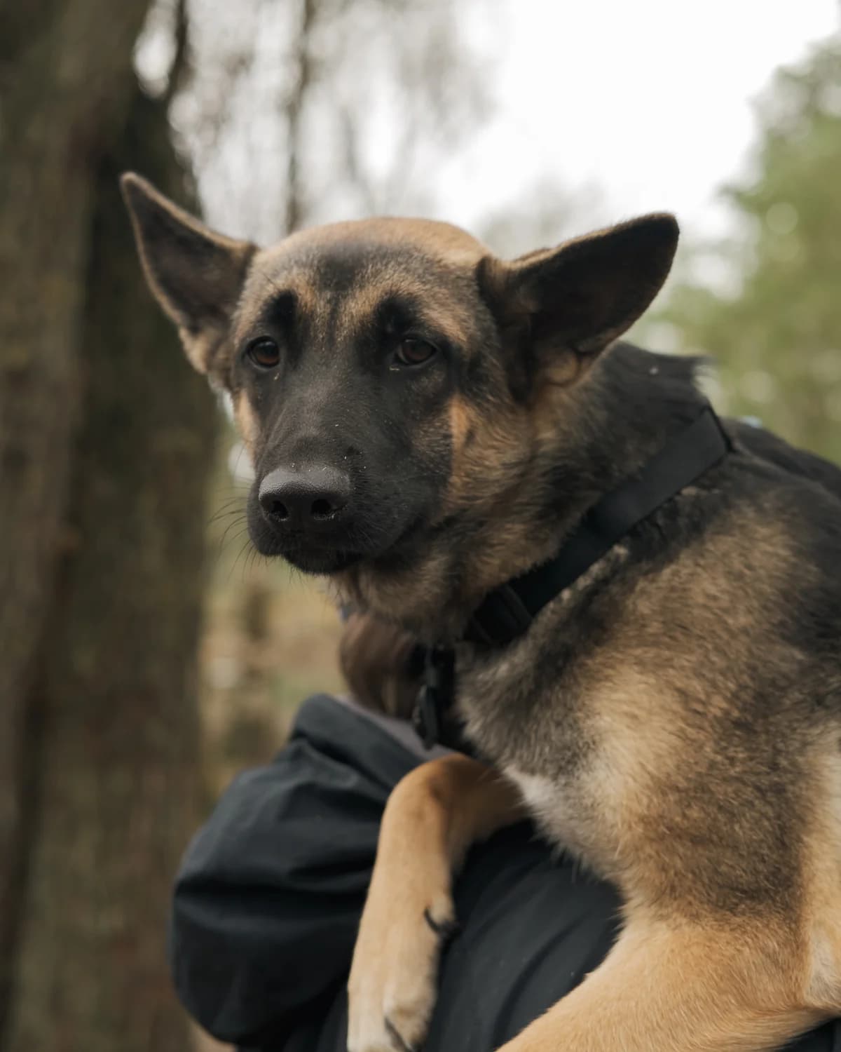 Дакота photo 2