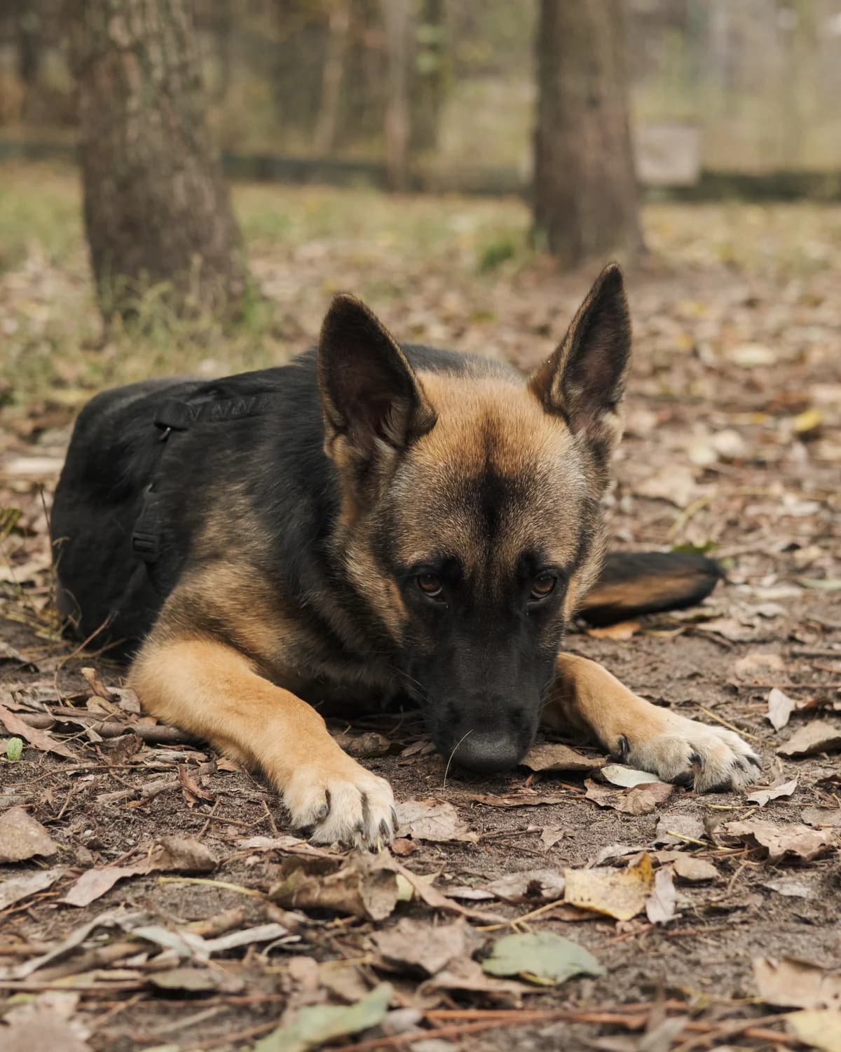 Дакота photo 3