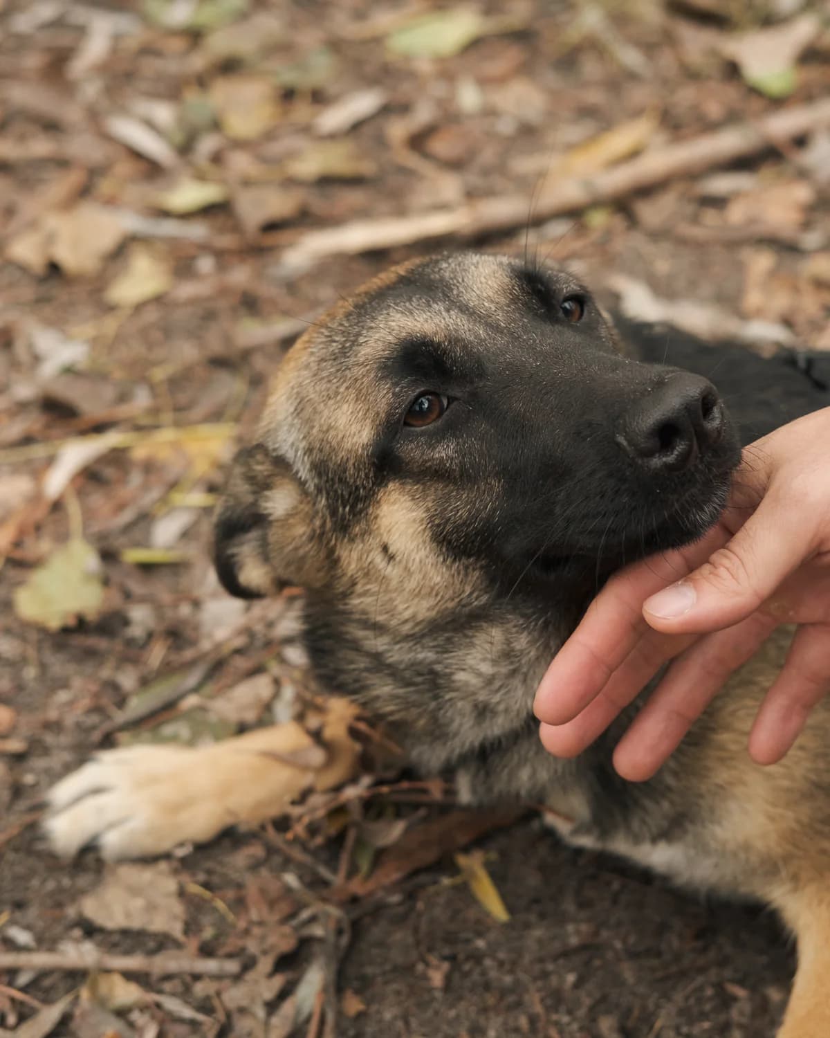 Дакота photo 4