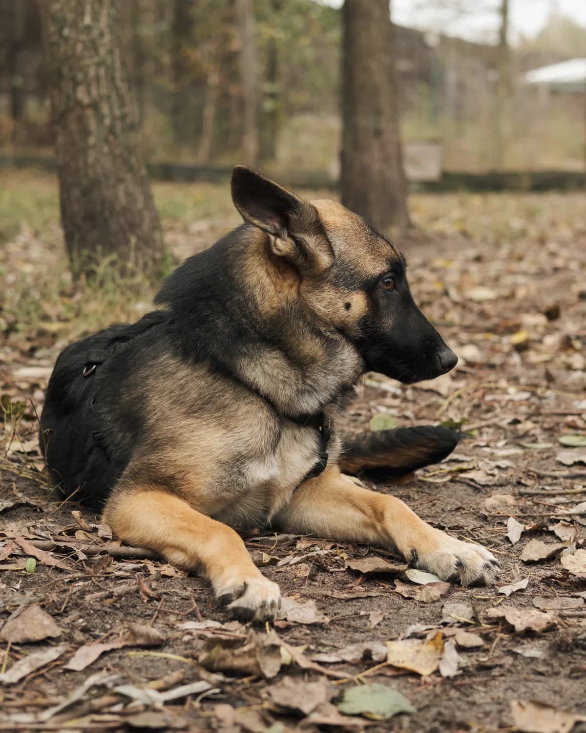 Дакота photo 5