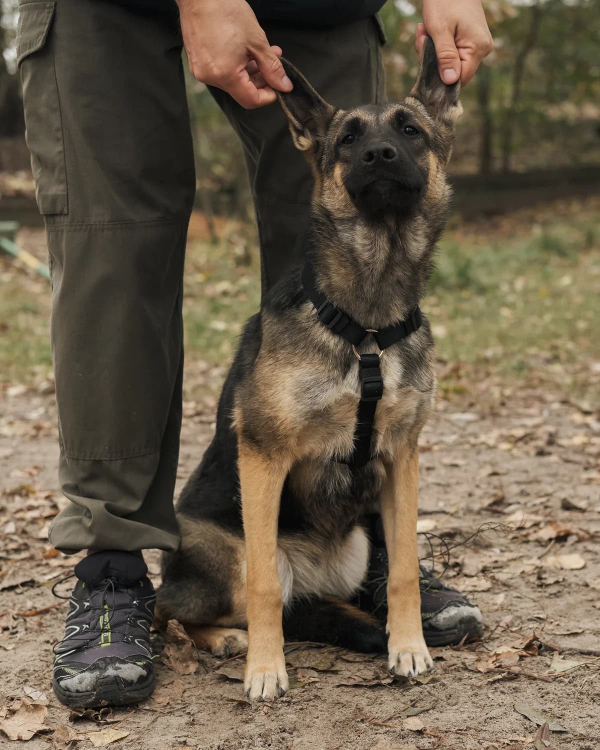 Дакота photo 7