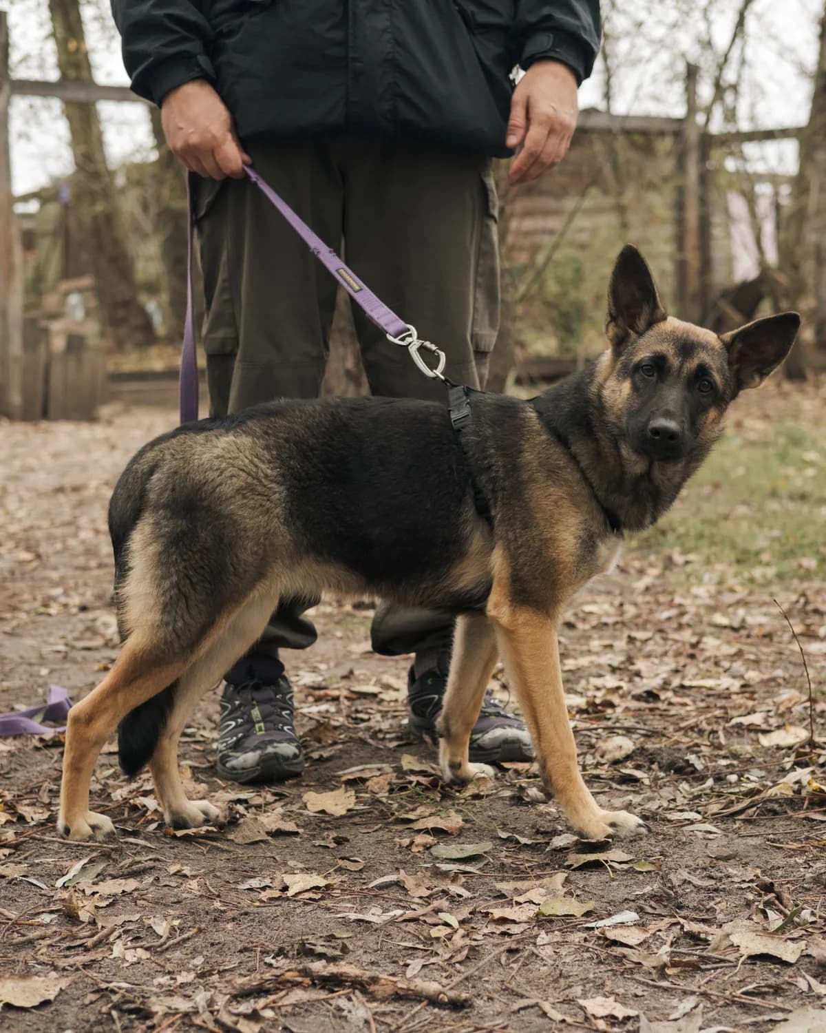 Дакота photo 8