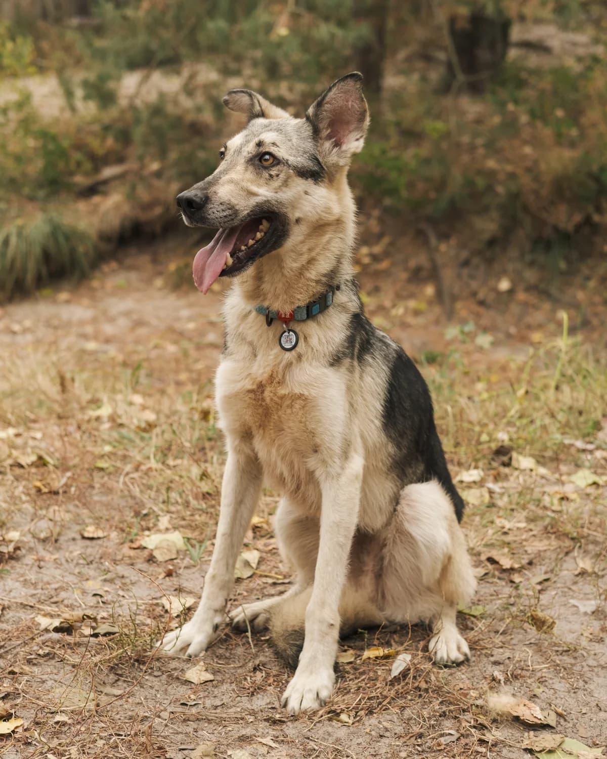 Арагорн photo 2