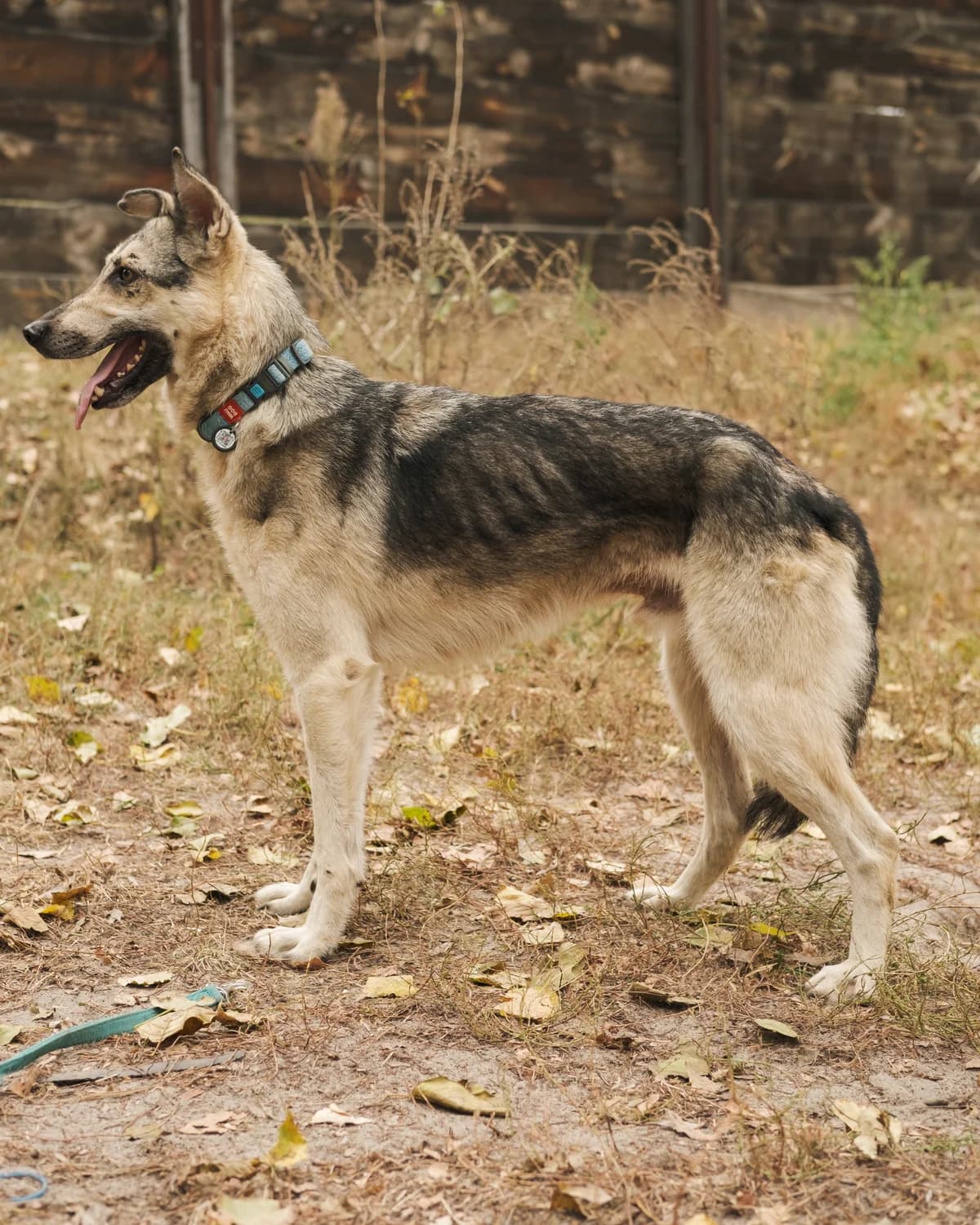 Арагорн photo 3