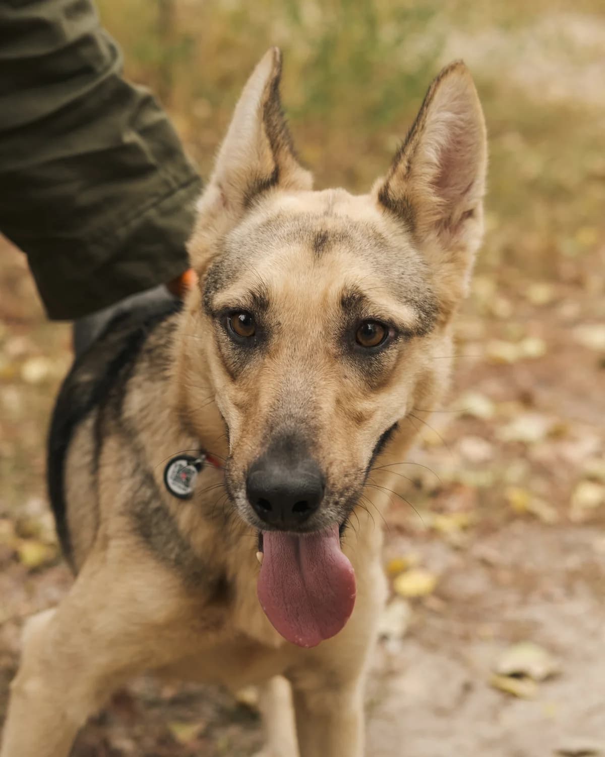 Квітка photo 2