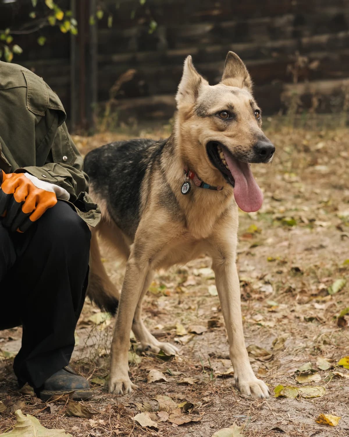 Квітка photo 3