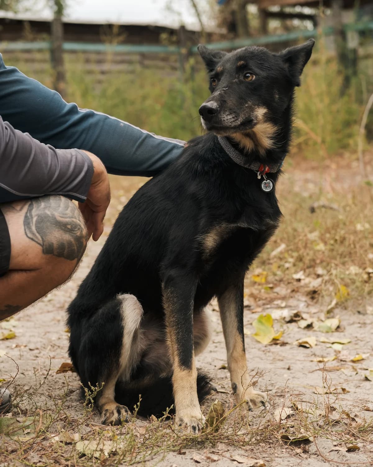 Моблер photo 2